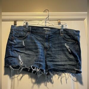 Women’s Ann Taylor Loft Distressed Cut off Denim Shorts. Size 34/18